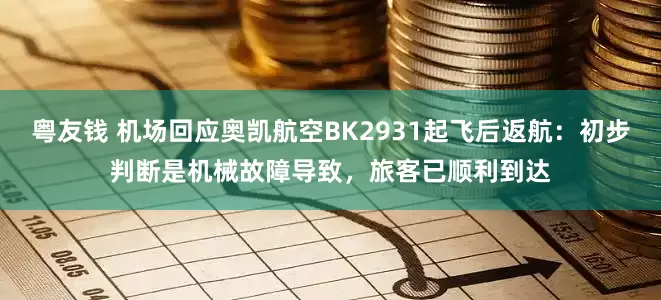 粤友钱 机场回应奥凯航空BK2931起飞后返航：初步判断是机械故障导致，旅客已顺利到达