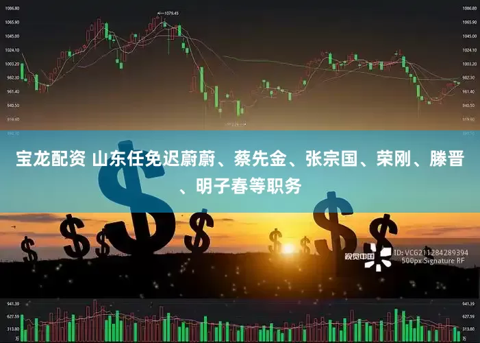 宝龙配资 山东任免迟蔚蔚、蔡先金、张宗国、荣刚、滕晋、明子春等职务