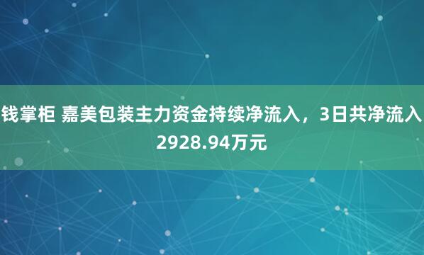 钱掌柜 嘉美包装主力资金持续净流入，3日共净流入2928.94万元