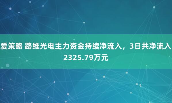 爱策略 路维光电主力资金持续净流入，3日共净流入2325.79万元
