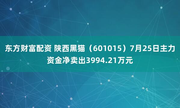 东方财富配资 陕西黑猫（601015）7月25日主力资金净卖出3994.21万元