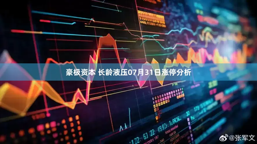 豪极资本 长龄液压07月31日涨停分析