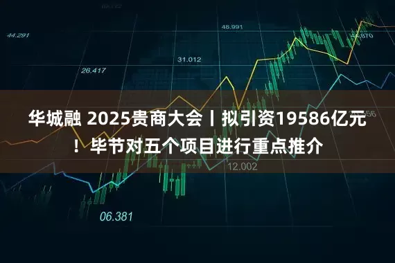 华城融 2025贵商大会丨拟引资19586亿元！毕节对五个项目进行重点推介